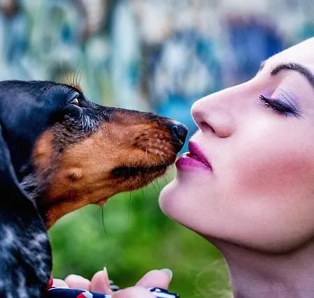 Casa vacanze Storchenblick Bann