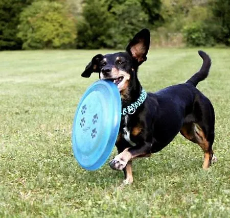 Storchenblick Casa vacanze