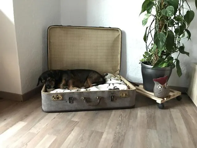 Feriehus Storchenblick